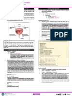 Pregnancy Induced Urinary Tract Changes Urinary Tract Infections