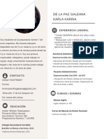 Curriculum Vitae Mujer Moderno y Profesional Con Iconos Gris y Blanco