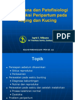 Materi Kuliah Maternity PPDH Ub 2022 - Presentation