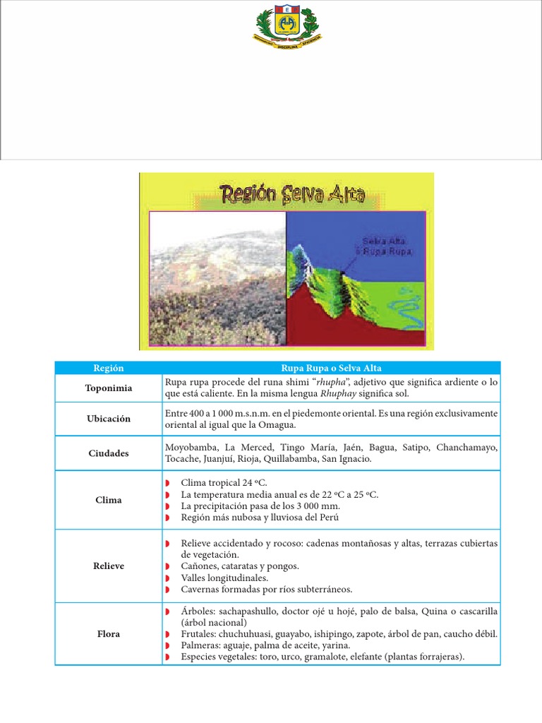Región Rupa Rupa Y Región Omagua | PDF | Deforestación | Entorno natural