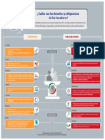 03 - Infografía - Obligaciones y Derechos Senadores