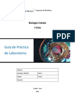 PRACTICA Retículo Endoplasmático-Sistema de Endomembranas