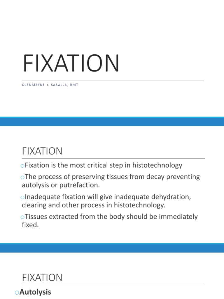 FIXATION | PDF