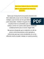 Analisis Practica Docente