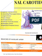 Anatomy & Oral Medicine MFD Part2