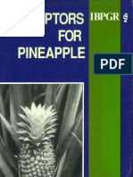 Descriptors Pineapple