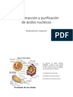 3 Extracción y Purificación de Ácidos Nucleicos (Autoguardado)