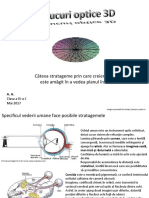 Fizica cl.9 Trucuri Optice