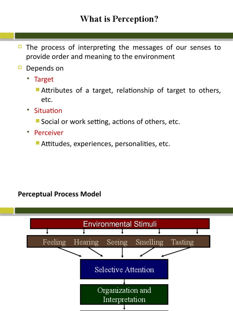 Perception in Organizational Behavior | PDF | Perception | Decision Making