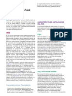 Copia Traducida de Chapter-3 - Uvea - 2012 - Clinical-Anatomy-and-Physiology-of-the-Visual-System