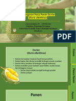 Cara Penanganan Pasca Panen Durian Untuk Meningkatkan Kualitas dan Daya Tahan