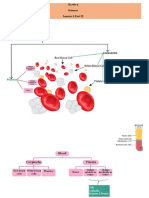 Components of Blood