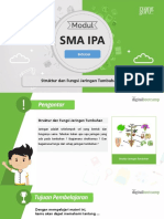 Bab 2 Struktur Dan Fungsi Jaringan Tumbuhan-1