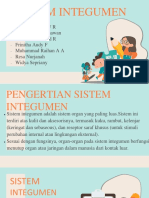 Sistem Integumen Kelompok 4 Kelas IKP 1D