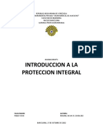 Asignacion 1 - Proteccion Integral