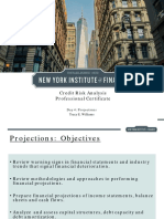 NYIF Williams Credit Risk Analysis IV 2018