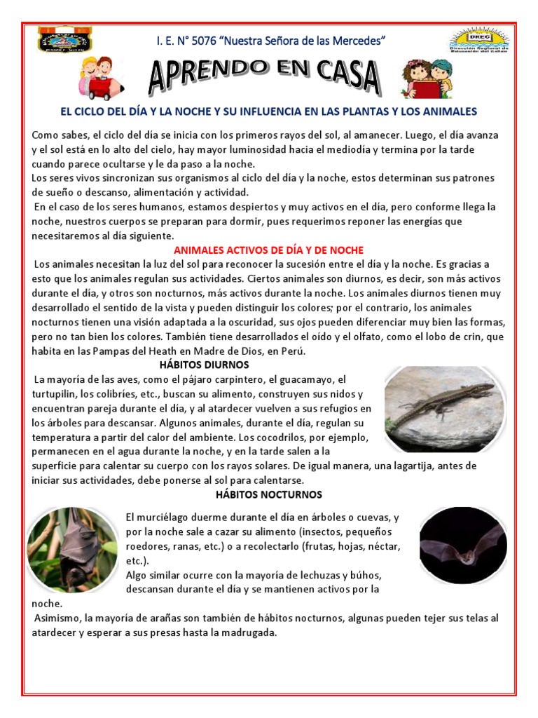 El Ciclo Del Dia Y La Noche 08 De Septiembre Pdf Plantas Aves