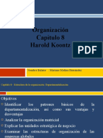 CAP.8. - Organizacion