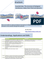 1.3 Membrane Structure