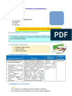 D5 A2 SESION Aprendemos de Las Formas en Los Tejidos y El Arte