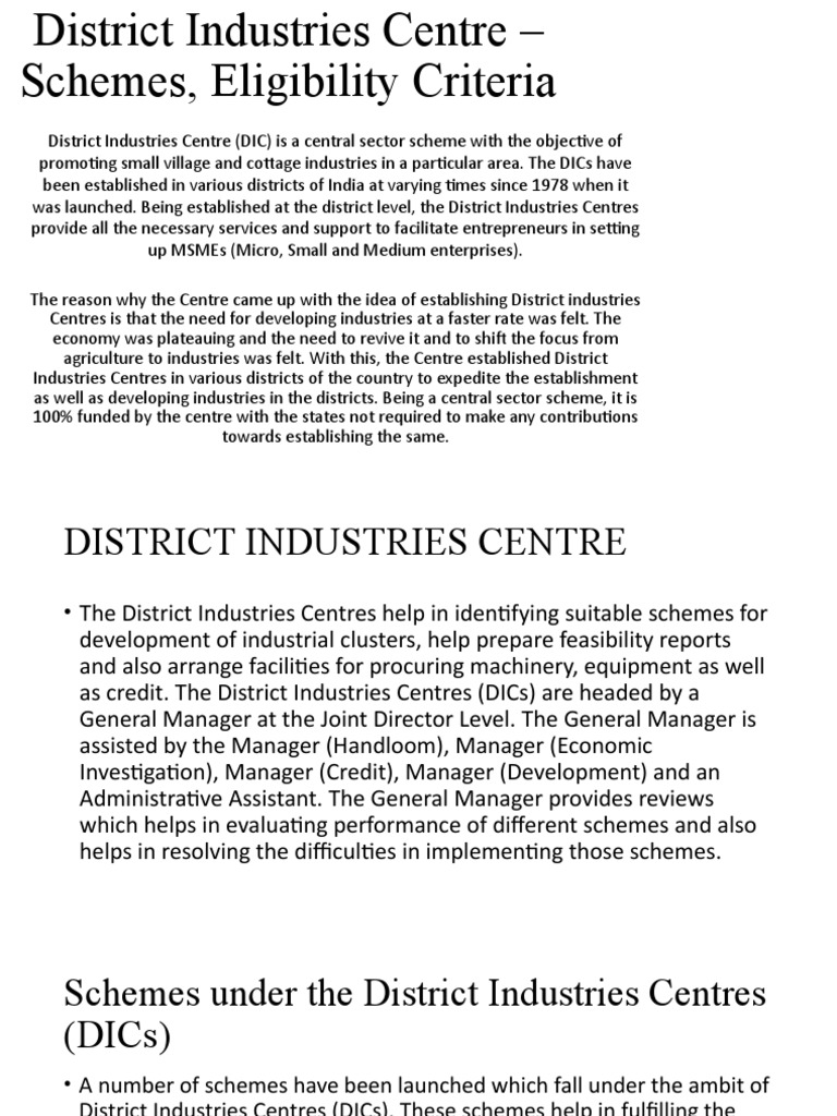 District Industries Centre PDF Business Economies