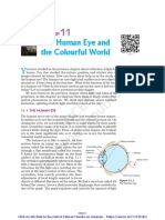 CL X Physics Ch-11 The Human Eye