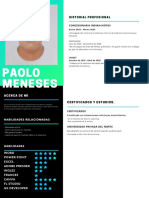 CV - Paolo Meneses