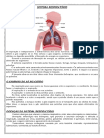 sistema respiratório