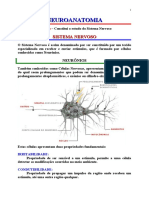 Neuroanatomia conceitos