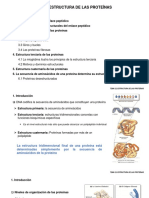 Tema 2. 2 Estructura de Las Proteínas