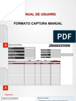 Formato de Captura Manual - Manual de Usuario