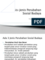 Jenis-Jenis Perubahan Sosial Budaya