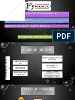 SEM 5° 6° Compuestos Procedentes Del Metabolismo Primario Carbohidratos Monoscaridos y Polisacaridos