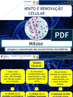 06A - Mitose - 21-22