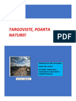 Elemente Si Obiective-Targoviste