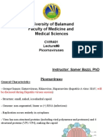 University of Balamand CVIR401 Lecture on Picornaviruses