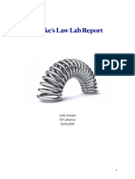 Hookes Law Lab Report PDF
