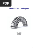 Hooke's Law Practical Experiment Guide | PDF