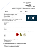 Prueba Ciencias Platas, Partes y Funciones