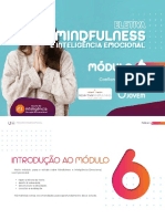 Mindfulness e Inteligência Emocional M6