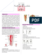 ENDODONTIA