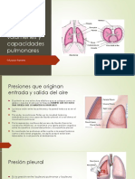 Clase 19 Presiones, Volúmenes y Capacidades Pulmonares