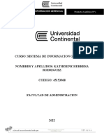 23-Sistemas de Informacion Gerencial Pa1 Nota 17