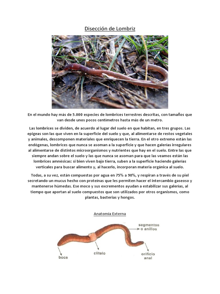 Documento 10 | PDF | Biología, image size:768x1024