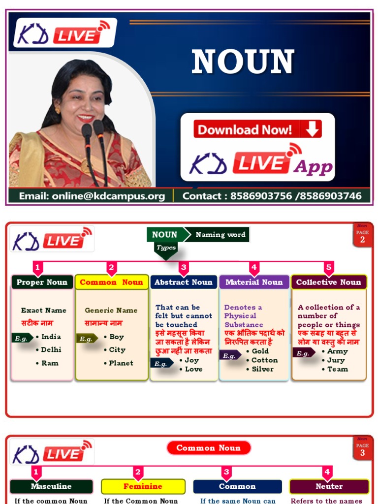 105 Noun Grammar 20201224074841 Pdf Grammatical Gender Plural