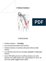 Il Dolore Lombare