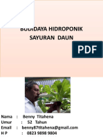 Budidaya Sayur Hidroponik