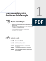 Sistemas de Informação Fundamentais