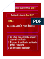 Sociología Educación - Tema 4