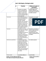 Actividad 2. Morfología y Fisiología Celular